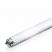 Лампа линейная люминесцентная ЛЛ 36Вт L 36W/76 NATURA T8 G13 подсветка продуктов 4050300010526 OSRAM