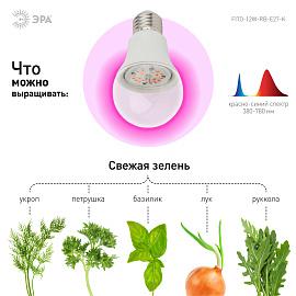 Фитолампа для растений светодиодная FITO-12W-RB-E27-K красно-синего спектра 12 Вт Е27 ЭРА