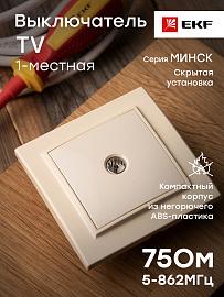 Розетка TV телевизионная Минск скрытой установки 75Ом 5-862МГц в сборе бежевый ERA00-027-20 EKF