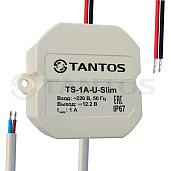 Источник вторичного электропитания 12В, 1А в корпусе IP67 (всепогодный) TS-1A-U-SLIM TANTOS