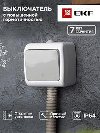 Выключатель одноклавишный Мурманск открытой установки IP54 проходной 10А серый EFV10-025-30-54 EKF