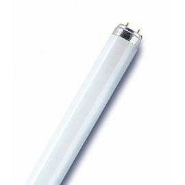 Лампа линейная люминесцентная ЛЛ 36Вт L 36W/865 LUMILUX T8 G13 холодная-дневная (Германия) 4050300517858 OSRAM