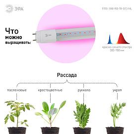 Фитолампа для растений светодиодная FITO-18W-RB-Т8-G13-NL красно-синего спектра 18 Вт Т8 G13 ЭРА