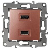 Устройство зарядное USB ЭРА12 скрытой установки 1 пост IP20 медь ( 12-4110-14 ) Б0027499 ЭРА