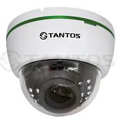 Камера видеонаблюдения (видеокамера наблюдения) IP уличная купольная 2Мп с ИК подсветкой, объектив 2.8-12 мм TSi-De2VPA (2.8-12) TANTOS