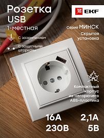 Розетка одинарная с USB Минск скрытой установки с заземлением 16А со шторками в сборе белый ERR16-028-100-USB EKF