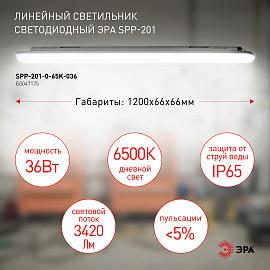 SPP-201-0-65K-036 ЭРА Светильник светодиодный линейный IP65 36Вт 3420Лм 6500К 1200мм мат (12/108)