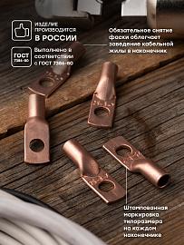 Наконечник медный ТМ 25-8-7 PROxima tm-25-8-7 EKF