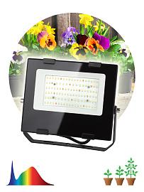 Фитопрожектор для растений светодиодный FITO-50W-Ra90-LED для цветения и плодоношения полного спектра 50 Вт ЭРА