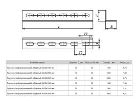 Профиль перфорированный L-образный 30х30х3000мм ppl3030-3-2 EKF